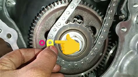 Read Zd30 Injector Pump Timing 