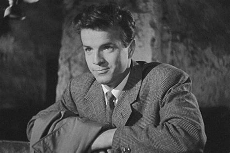 zeffirelli gay