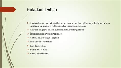 özel Hukuk Dalları