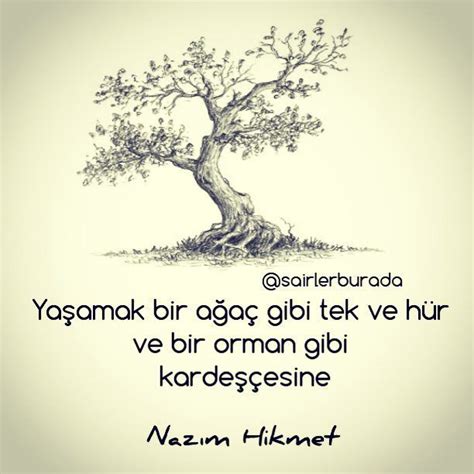 zembîlfiros Ben yaşamak istiyorum. Bir ağaç  Instagram.