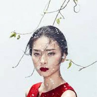 zhang jingna biography examples