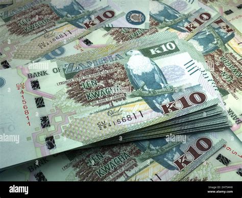 5 bet: Apostas Desportivas Online com Garantia de Segurança Financeira para Todos os Jogadores - Foto 2