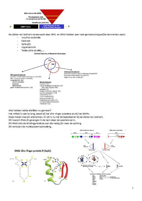 ziekte van steinert verloop