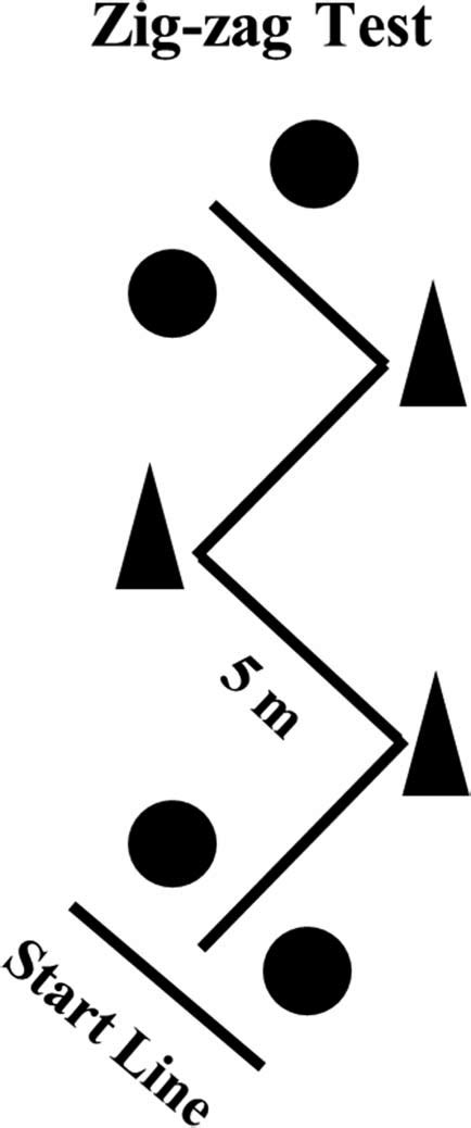 Zig Zag Test Normative Data