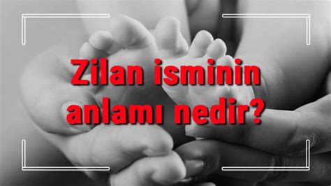 Zilan Ne Demek