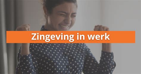 zingeving werk