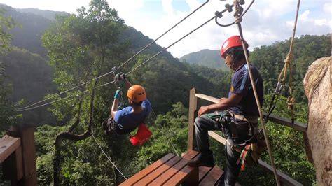 Zipling Porn i2oyn