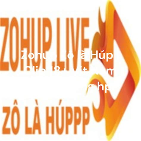 zohup | 20241022zohup