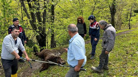 zonguldak ta bulunan definelers