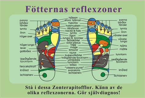 zonterapi punkter fötter