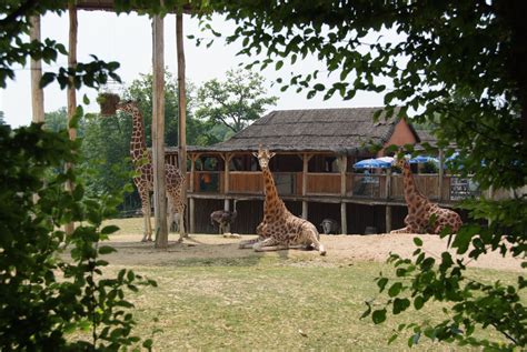 zoo amneville masai