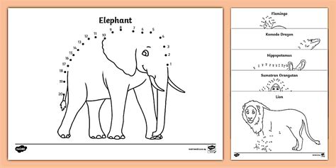 Zoo Animals Dot To Dot ( Dover Little Activity Books)