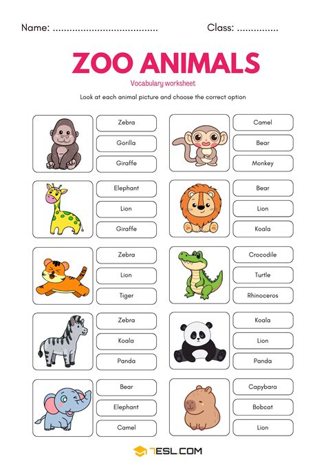 Zoo Animals Worksheets Pdf