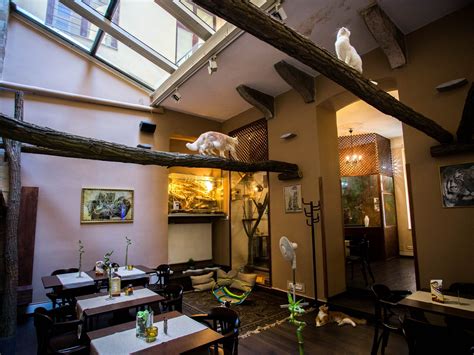 Zoo Cafe Budapest