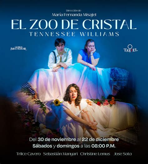 Zoo De Cristal