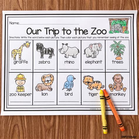Zoo Field Trip Kindergarten Animal Reseach Foundationgive Kindergarten Animation - Kindergarten Animation