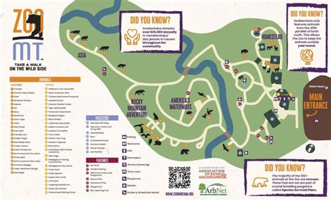 zoo montana