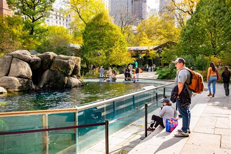 zoo new york