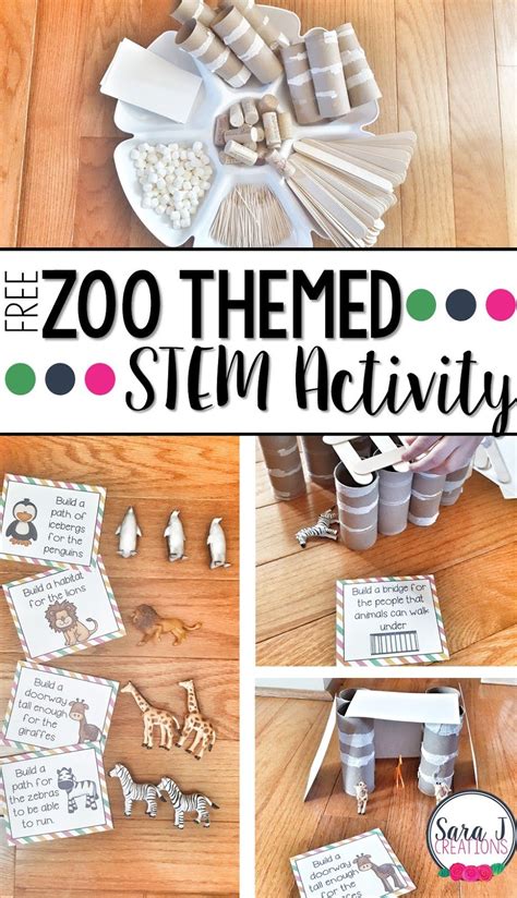 Zoo Stem Activities Living Life And Learning Zoo Science Activities For Preschoolers - Zoo Science Activities For Preschoolers