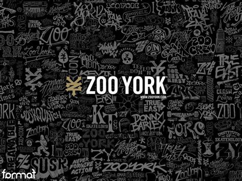 Zoo York Logo Wallpaper