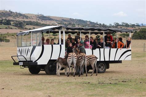 Zoodoo Wildlife Park