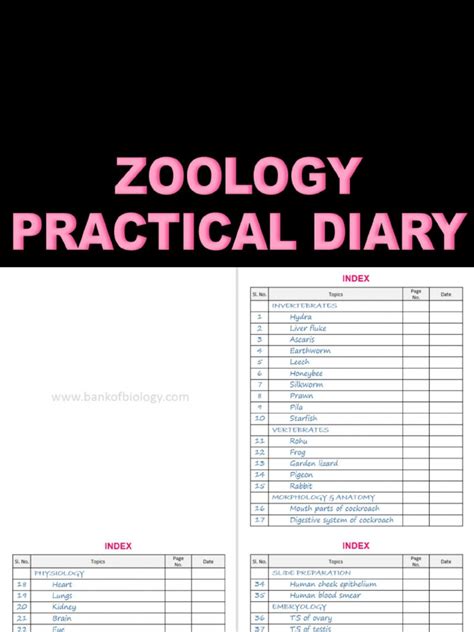 Zoology Practical Copy