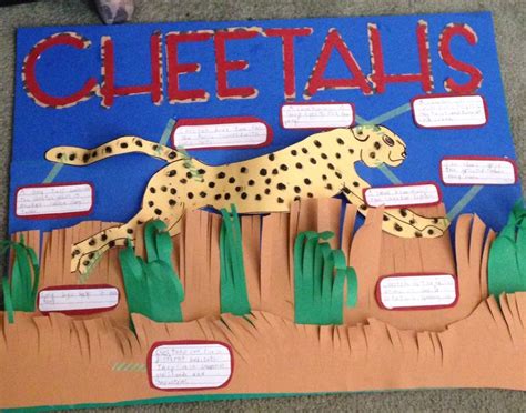 Zoology Science Projects Science Buddies Animal Science Experiment - Animal Science Experiment
