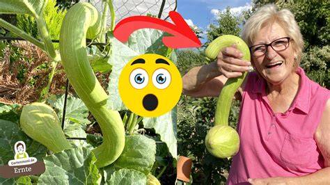 zucchini.angst nude