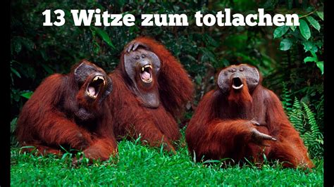 Zum Totlachen Witze