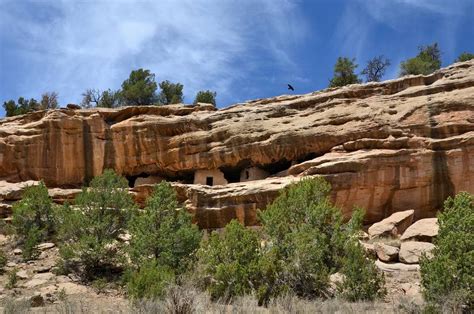 zuni new mexico