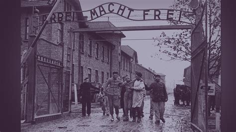zweimal uberleben von auschwitz zu den muttern de