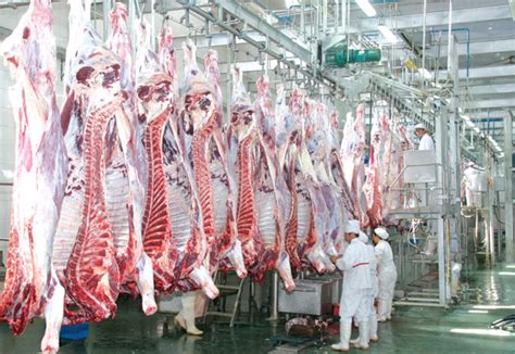 上海进口牛肉批发市场