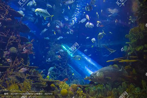 北京动物园海底世界票价