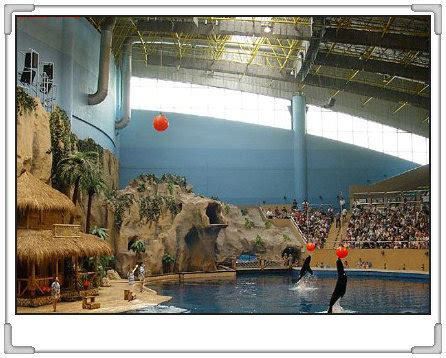 北京动物园海底世界门票团购