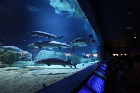 北京动物园海洋馆官网