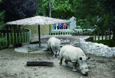 北京动物园犀牛馆