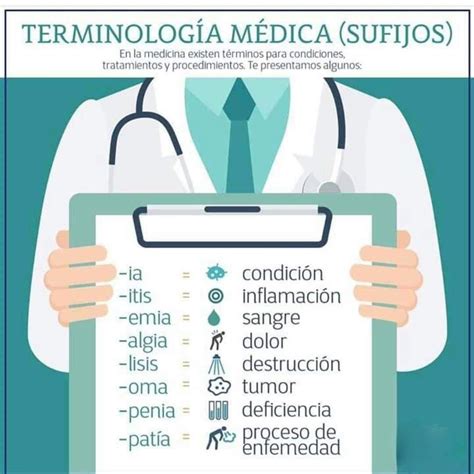 ﻿cómo aprender terminología médica básica