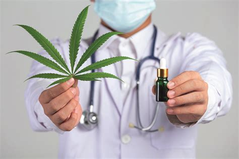 ﻿cómo encontrar empleo en el negocio de la marihuana medicinal