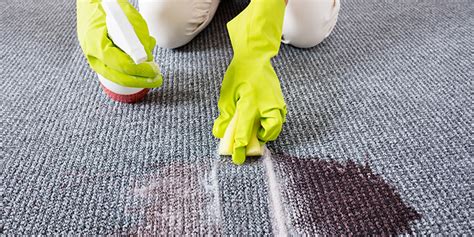 ﻿cómo obtener trabajos de limpieza de alfombras