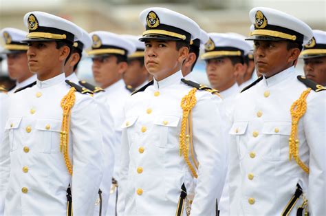 ﻿el programa de selección de oficiales de servicio limitado de la marina
