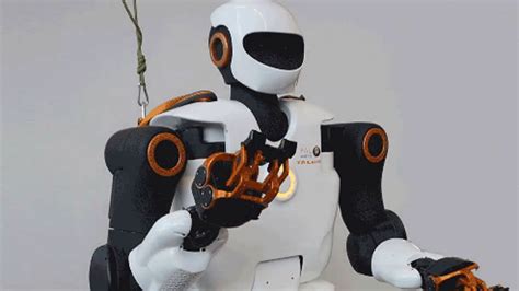 ﻿les robots réduiront-ils l'emploi humain essai