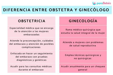 ﻿requisitos de educación para un obstetra/ginecólogo y años totales de universidad