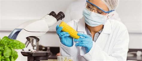 ﻿¿cuál es el papel de un microbiólogo de alimentos?