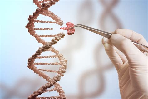 ﻿¿cuáles son los principales campos profesionales de la genética?