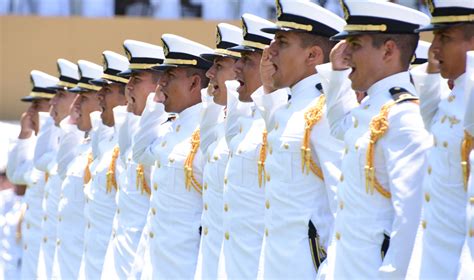 ﻿¿cuándo eliges tu carrera en la marina?
