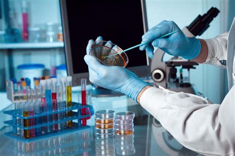 ﻿¿necesita experiencia de laboratorio para una carrera en microbiología?