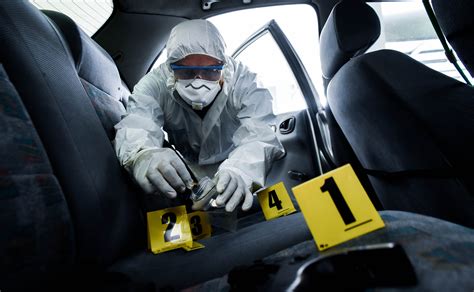 ﻿¿qué tan fácil es conseguir un trabajo como investigador de la escena del crimen (csi)?