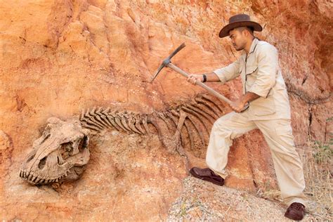 ﻿¿qué tipos de paleontólogos hay?