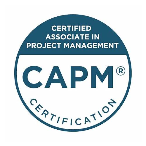 th?w=500&q=Certified%20Associate%20in%20Project%20Management%20(CAPM)