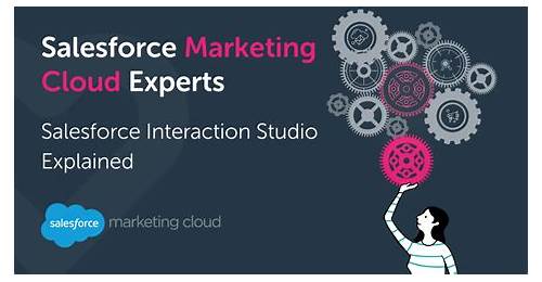 Valid Interaction-Studio-Accredited-Professional Vce Torrent & The Best Salesforce Certification Training - Authoritative Salesforce Salesforce Interaction Studio Accredited Professional